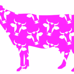 Funky Cow #25