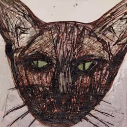 Super Sketchy Cat