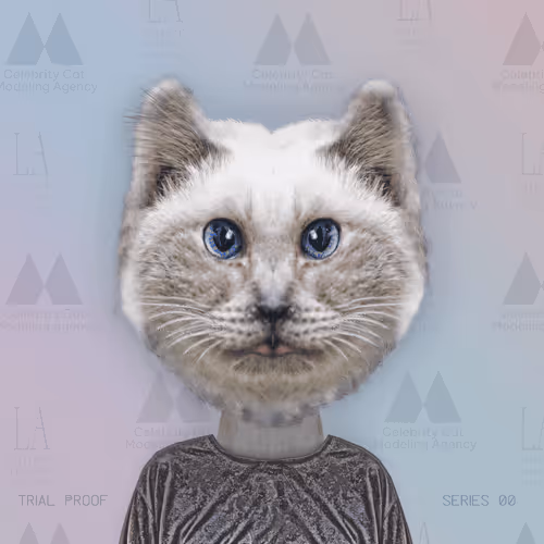 Item #42868772326336640038894850546573262856003085678038273720485937622589902946305 Media