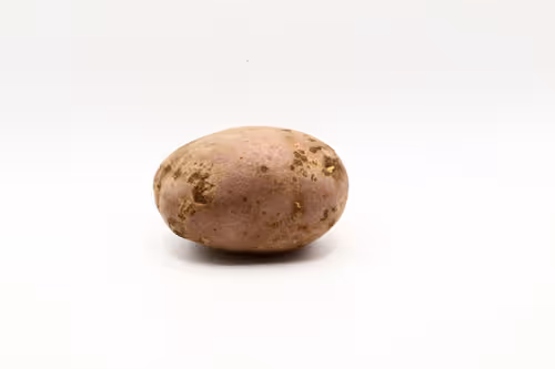 Item #97726151104522163495278545296769301934737660224123995419035737048722696044545 Media