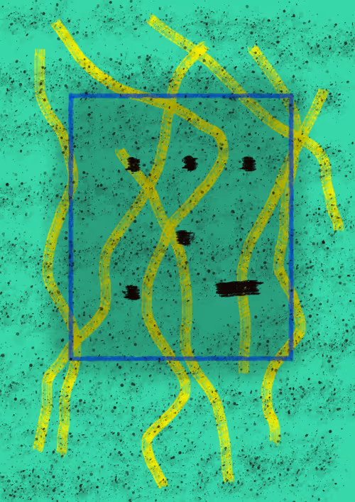 Item #42828633583342748953011678568639331296590951934285161443545613848770580054017 Media