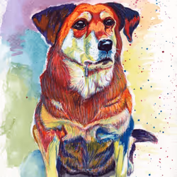 88392049109375850439574262012811564620955616675651121480724544703898807435265