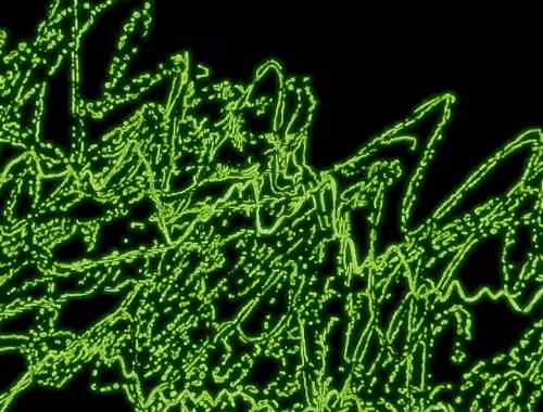 Item #23344909833982927759449354934161760902861299236870256910878803398217550528513 Media