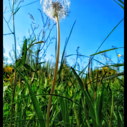 3787080761074609709675817509753112159059746763483256848434353738116314955777