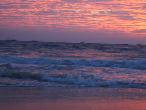 Untitled Collection #181703302