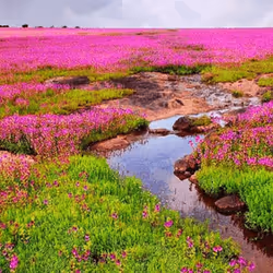 39916610678052500138596211548792698776473563312308341193271399295113916055553