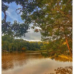Nature, just nature