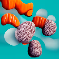 56681820197342161819819372651831042447314914966245969648562741690124436766721