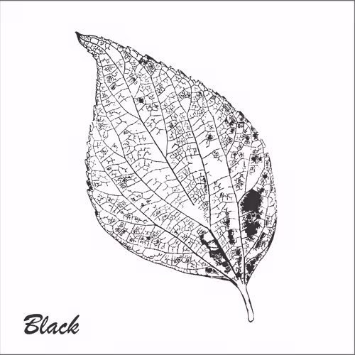 Item #40167138637940562108431742001123872206105593199433866487640627802182441238529 Media