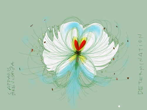 Item #36852278608857291470989576231944557876708875347652874372458497589165749698561 Media