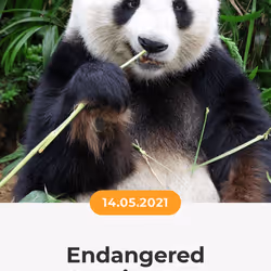 84967509520196306123188380026293221301468344843151761076076916519954907398145