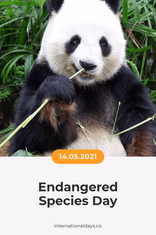 Item #84967509520196306123188380026293221301468344843151761076076916519954907398145 Media