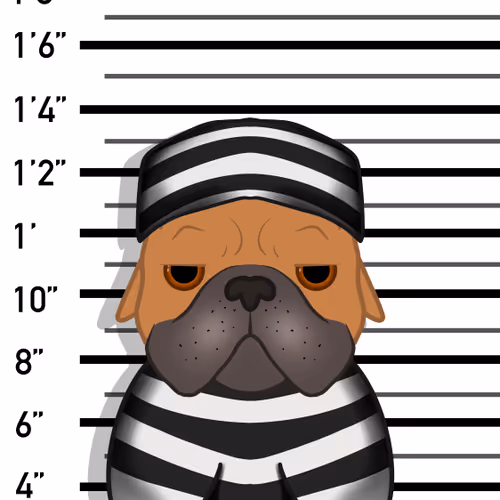 Item #24438971519378162450140557975126652360319168796793755016117893771197111336961 Media