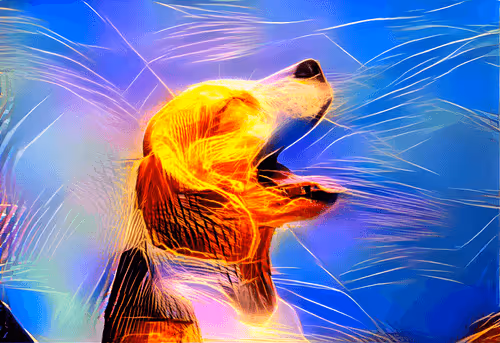 Item #62968114888003897445254203338726043175776341799549800828450303780302239039489 Media