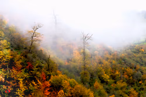 Item #2468119463308914702005443652102614178506533567319377457804556995474873122817 Media