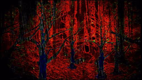 Item #9465225036097986852809308414241989554970344814191743666457654776208772038657 Media