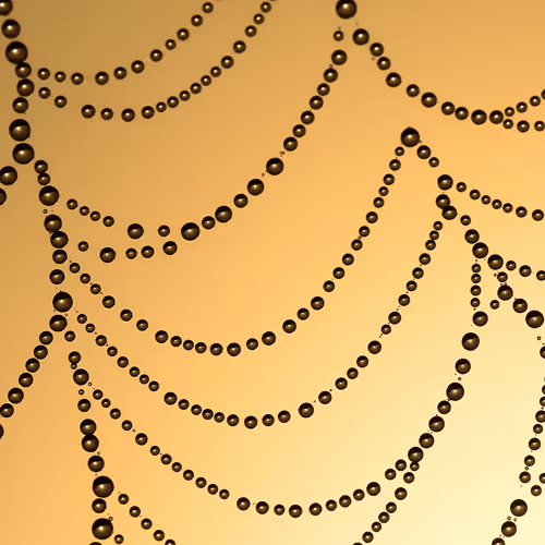 66094276214444453671776158807795384141556220824511582768946086638073625444353