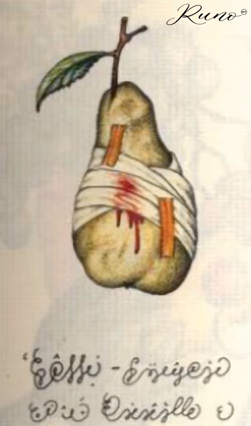 Item #82027568132874209204905566475371830288322008056794566303556806070281309257733 Media