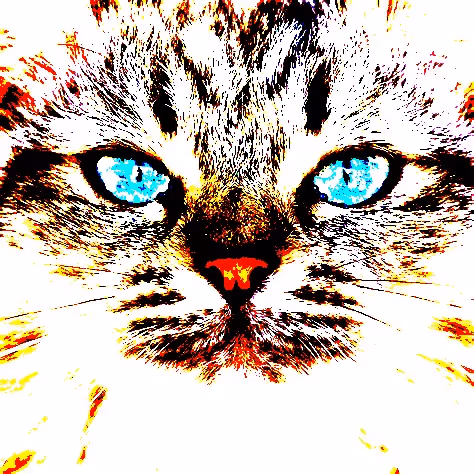 23538819986925566434507765811444276093104658907602947149672917159089486692353