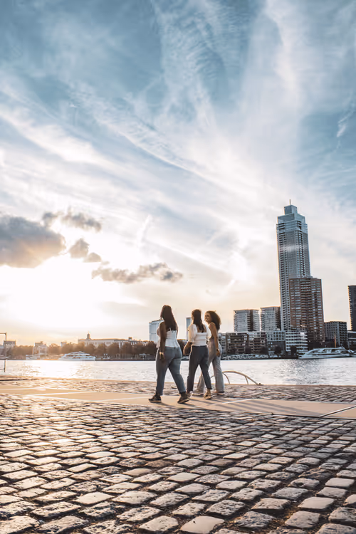 Item #63941686978381941053943929737968123784537789017631438611022902726172201713665 Media