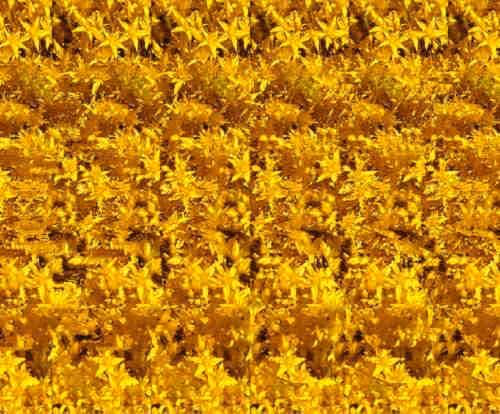 Item #24989702942326065116153480508525724290061186855920669131466917270226055725057 Media