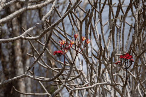 Item #105679162715773690367894814568251153202929894369313826483118647803708578988033 Media