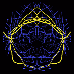 7078802064077755305879053961196844759257248211509687953083586339898134626305