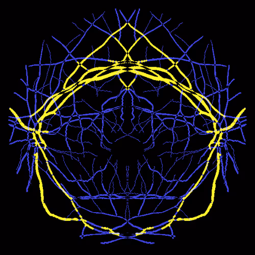 Item #7078802064077755305879053961196844759257248211509687953083586339898134626305 Media