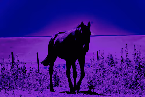 Item #97472780855113725442361506406406632137290984226550429674679319525351074299905 Media