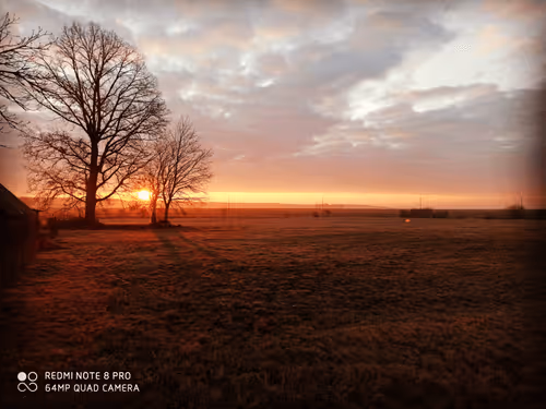 Item #25048395052866519615583306303043483840076282884633851044387431704784455860225 Media