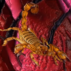 The Scorpion