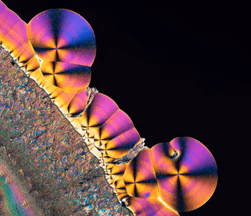 Item #10963747158726230323476698717181339106024031103904100561308612022677167669249 Media