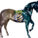 14195703436646468745199728662041842185351146069971577628603613866736993959937