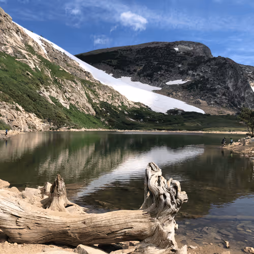 Item #56322661583650327241335368930056989154338103014947234537333187359832465735780 Media