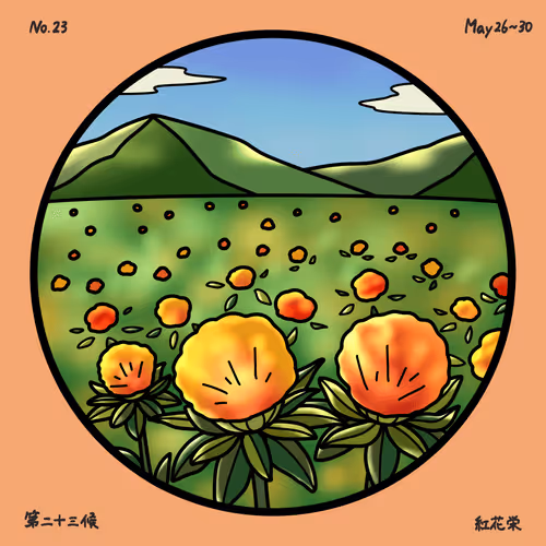 Item #100299216441561356608685648287997189207799428431492199519233717857975697145857 Media