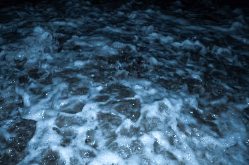 Item #65334289746679534718729475887804441956060191570096093289886828071787866095617 Media