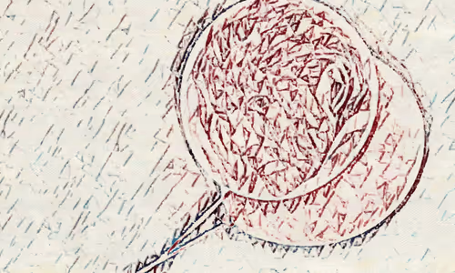 Item #115439723416713738972193374582482205486227111608136810149026582197444603281409 Media