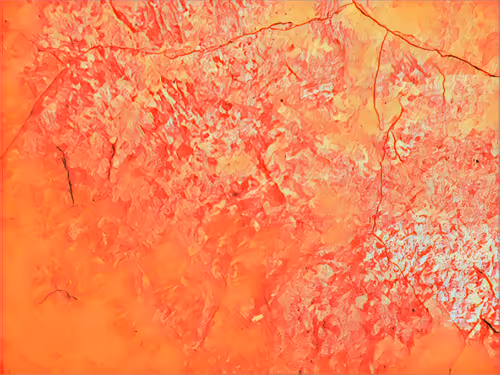 Item #16558374224031309544810590642259060897408029573872384606006677373972801126401 Media