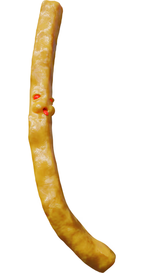 Item #103912990774103939644776814198013714702706462357709498753812533281127871283201 Media