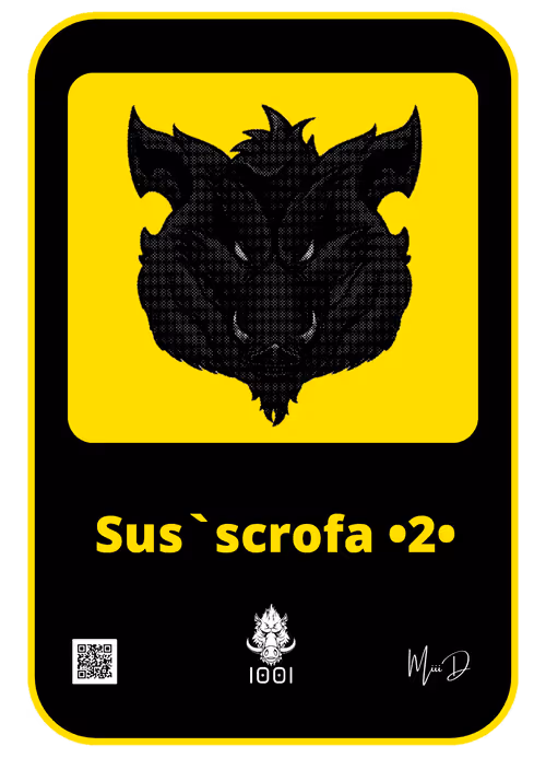 Item #36424231948408147053056285004827366984925401523938314271182861120069466849283 Media