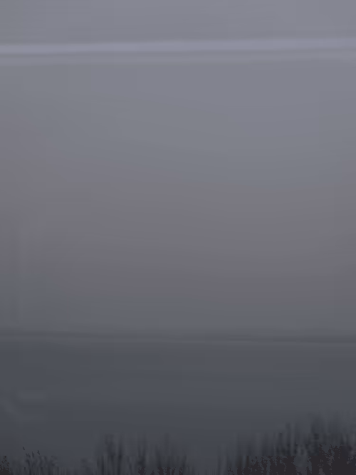 Item #56631410671992674671616436842369211275929346964942698598154381940118389784577 Media