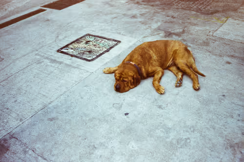 Item #25255888101002382068529850944543426464407705804600295961589146195051243634689 Media