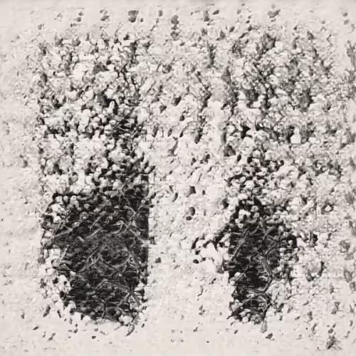 Item #23005699801348726946453604369168113764611283338315469620542080271618089680897 Media