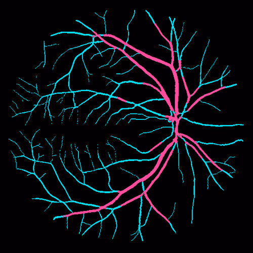 Item #7078802064077755305879053961196844759257248211509687953083586190364553248769 Media