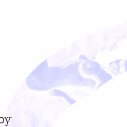 108764752838295203426064024840912078929350984290010995656931109422802113921025