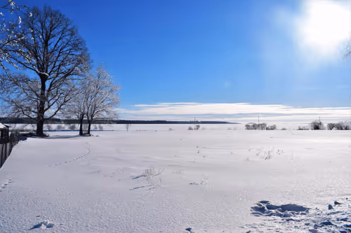 Item #25048395052866519615583306303043483840076282884633851044387431701485920976897 Media