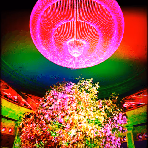 Item #90190205022037577658611228217343825730566789419905869044194752766670698184705 Media