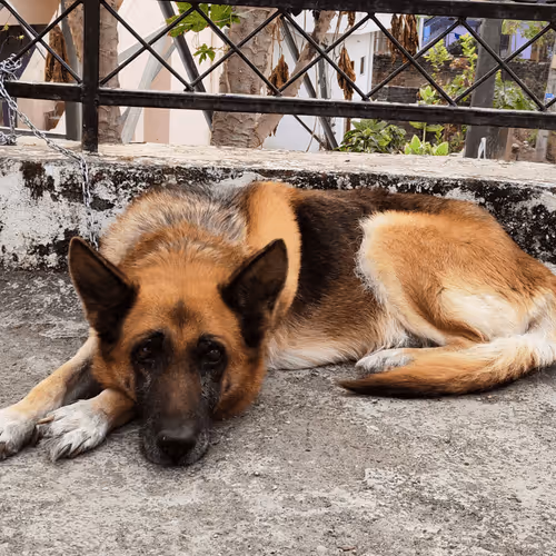 Untitled Collection #242217015