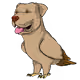 47055084319643417660550440966475414647413753718948486243302708116111138750484