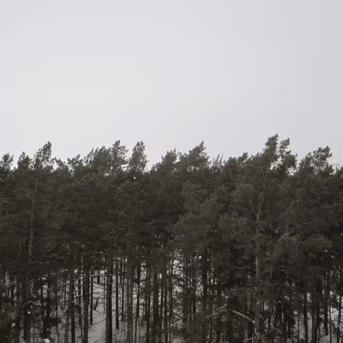 Item #39781805688626842994046507888546694714899270474383352618679520631402811883521 Media